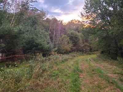 Premier Turn-Key Hunting Compound in Monroe County, WI - image 8