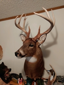Premier Turn-Key Hunting Compound in Monroe County, WI - image 25