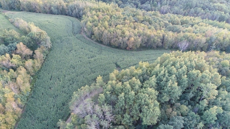 Premier Turn-Key Hunting Compound in Monroe County, WI - image 39