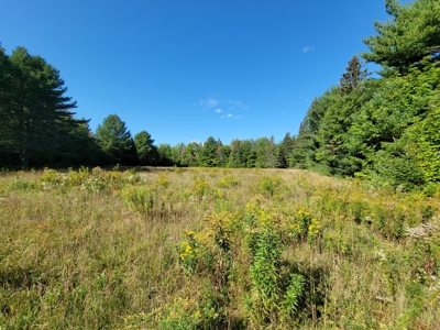 Camp in Glenwood Plantation - image 5
