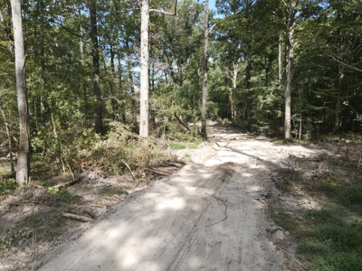 Hunting Property Dallas County Arkansas - image 11