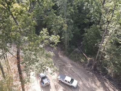 Hunting Property Dallas County Arkansas - image 13