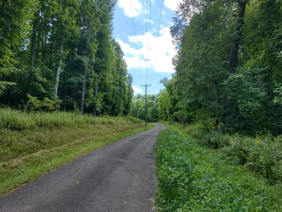Wooded Land for Sale in Pilot VA - image 8