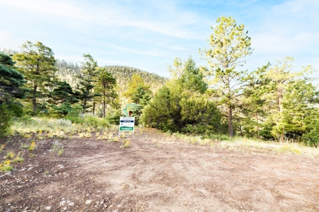 Prime Colorado Hunting Land - San Luis Valley - image 24