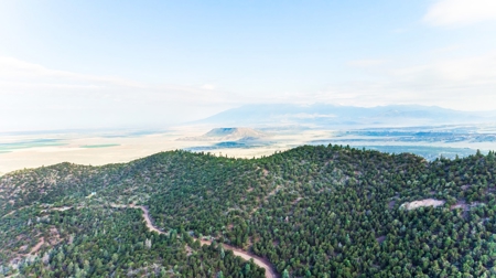 Prime Colorado Hunting Land - San Luis Valley - image 20