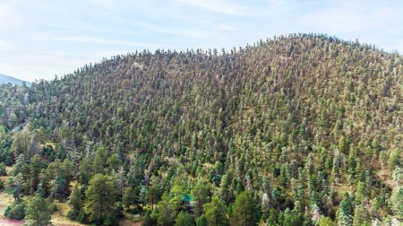 Prime Colorado Hunting Land - San Luis Valley - image 19
