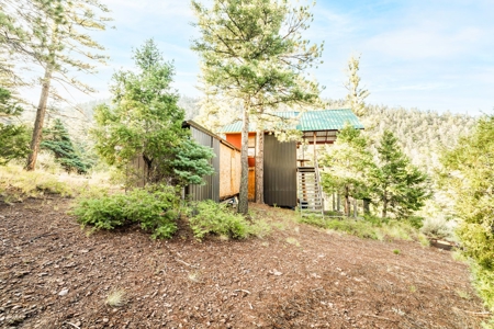 Prime Colorado Hunting Land - San Luis Valley - image 3