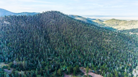 Prime Colorado Hunting Land - San Luis Valley - image 21
