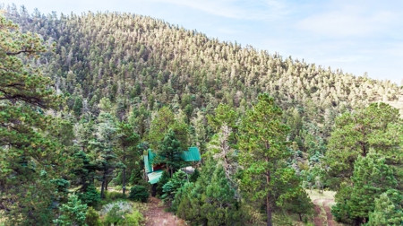 Prime Colorado Hunting Land - San Luis Valley - image 22