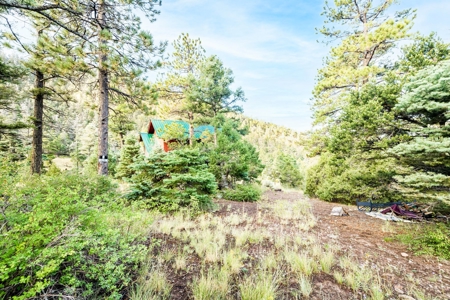 Prime Colorado Hunting Land - San Luis Valley - image 23