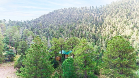 Prime Colorado Hunting Land - San Luis Valley - image 5