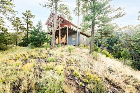 Prime Colorado Hunting Land - San Luis Valley - image 12