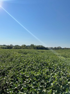 240+/- Acres of Gentry County Missouri Row Crop - image 2