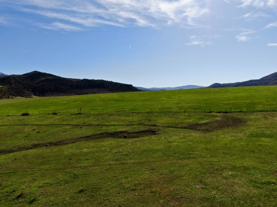 Year-round cattle operation has winter/summer grazing permit - image 4
