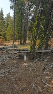 1.80 Acres For Sale in Cal Pines - image 12