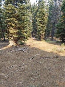 1.80 Acres For Sale in Cal Pines - image 2