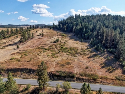 Mixture of Timber and Pasture 6 mi from Chewelah with Views! - image 3