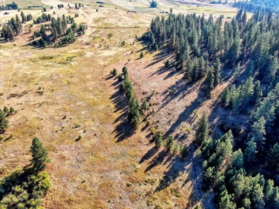 Mixture of Timber and Pasture 6 mi from Chewelah with Views! - image 14
