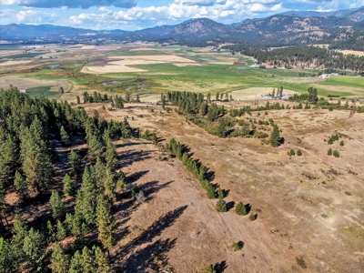Mixture of Timber and Pasture 6 mi from Chewelah with Views! - image 19