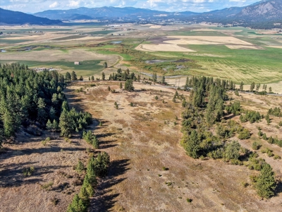 Mixture of Timber and Pasture 6 mi from Chewelah with Views! - image 15