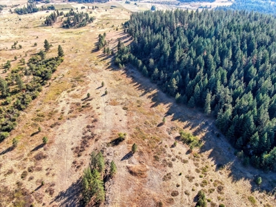 Mixture of Timber and Pasture 6 mi from Chewelah with Views! - image 12