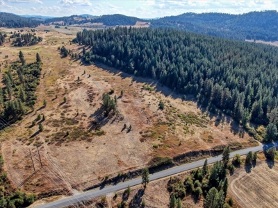 Mixture of Timber and Pasture 6 mi from Chewelah with Views! - image 8