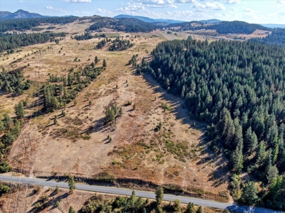 Mixture of Timber and Pasture 6 mi from Chewelah with Views! - image 9