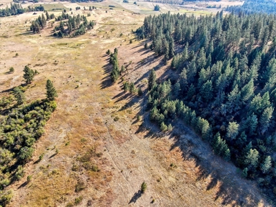 Mixture of Timber and Pasture 6 mi from Chewelah with Views! - image 13
