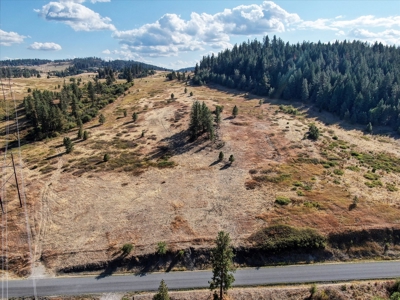 Mixture of Timber and Pasture 6 mi from Chewelah with Views! - image 5