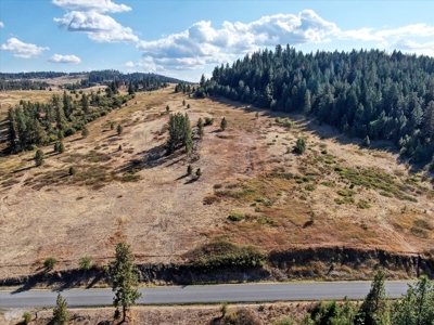 Mixture of Timber and Pasture 6 mi from Chewelah with Views! - image 4
