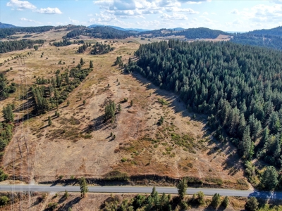 Mixture of Timber and Pasture 6 mi from Chewelah with Views! - image 7