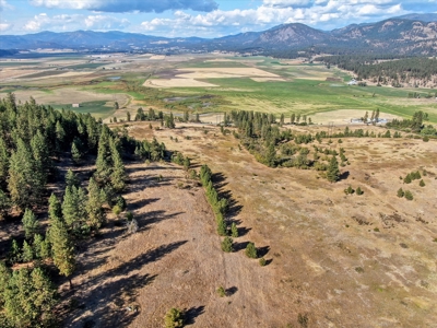 Mixture of Timber and Pasture 6 mi from Chewelah with Views! - image 20