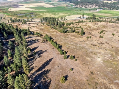 Mixture of Timber and Pasture 6 mi from Chewelah with Views! - image 17