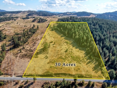 Mixture of Timber and Pasture 6 mi from Chewelah with Views! - image 1