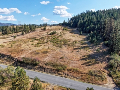 Mixture of Timber and Pasture 6 mi from Chewelah with Views! - image 2