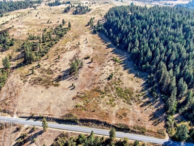 Mixture of Timber and Pasture 6 mi from Chewelah with Views! - image 10