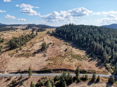 Mixture of Timber and Pasture 6 mi from Chewelah with Views! - image 6