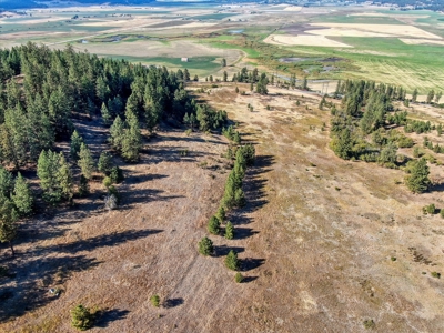 Mixture of Timber and Pasture 6 mi from Chewelah with Views! - image 16