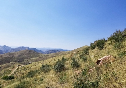 Camp or Build on This Peaceful and Serene Lot - image 8