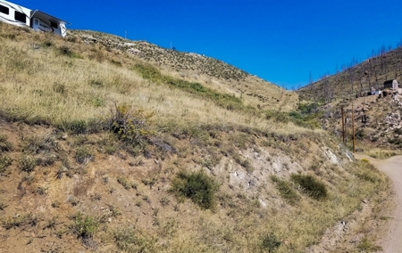 Camp or Build on This Peaceful and Serene Lot - image 4