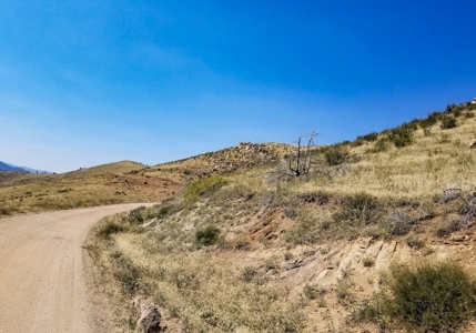 Camp or Build on This Peaceful and Serene Lot - image 12