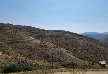 Camp or Build on This Peaceful and Serene Lot - image 10