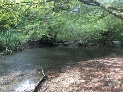 Recreational and Hunting Land Red River County - image 4