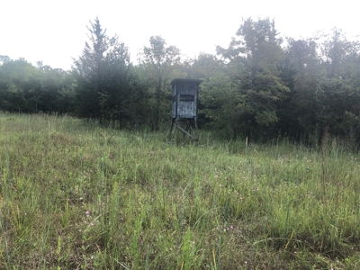 Recreational and Hunting Land Red River County - image 19