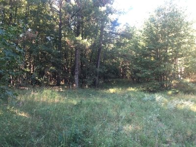 Recreational and Hunting Land Red River County - image 8