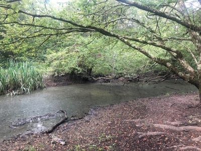 Recreational and Hunting Land Red River County - image 3