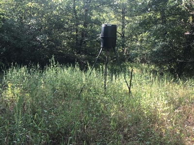 Recreational and Hunting Land Red River County - image 5