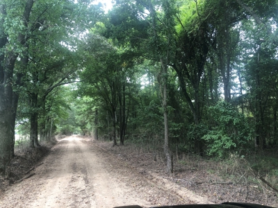 Recreational and Hunting Land Red River County - image 25