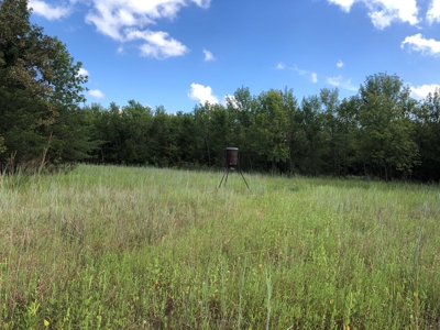 Recreational and Hunting Land Red River County - image 20