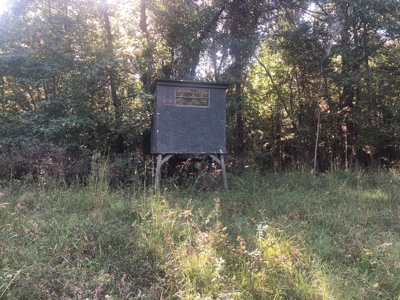 Recreational and Hunting Land Red River County - image 7